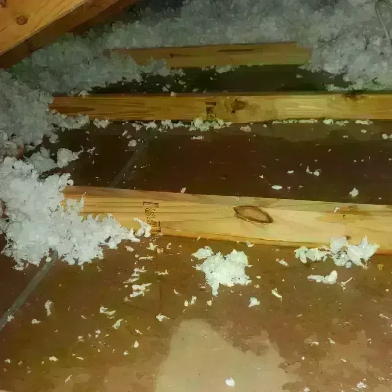 Attic Water Damage in Grandview, MO